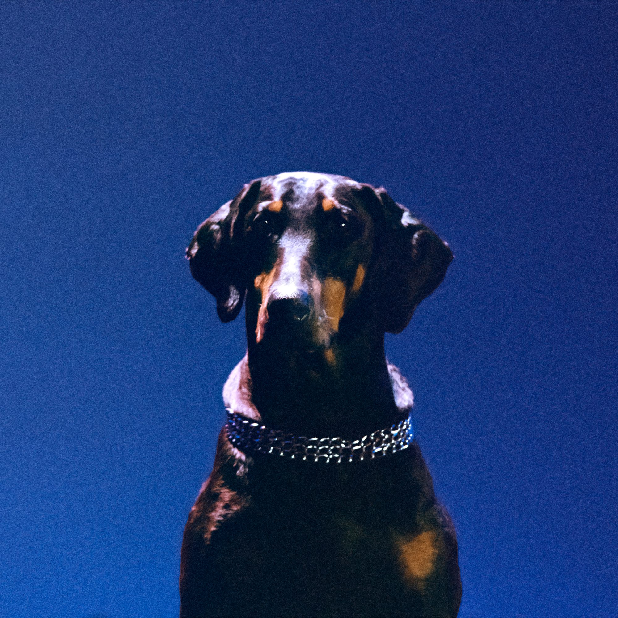 Overmono – “Gem Lingo (ovr now)” (Feat. Ruthven)